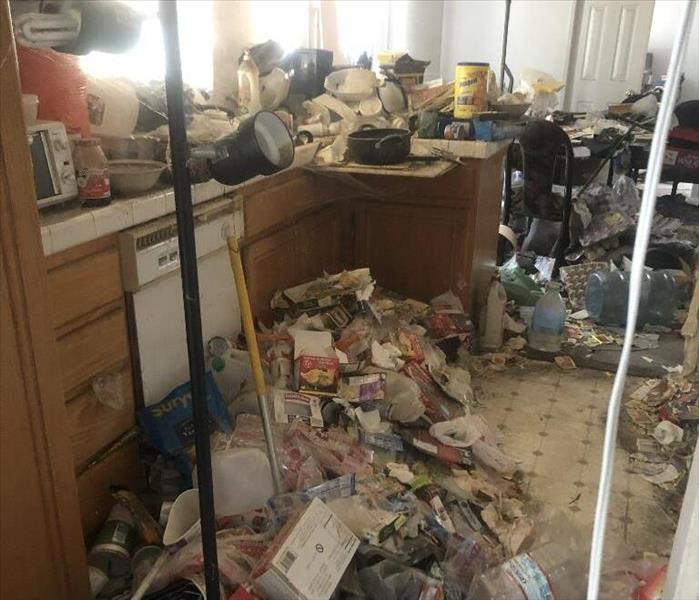 Very dirty and messy home kitchen