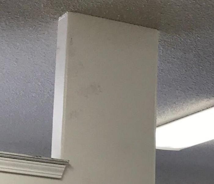 Photo of a Raccoon paw prints in a local office 