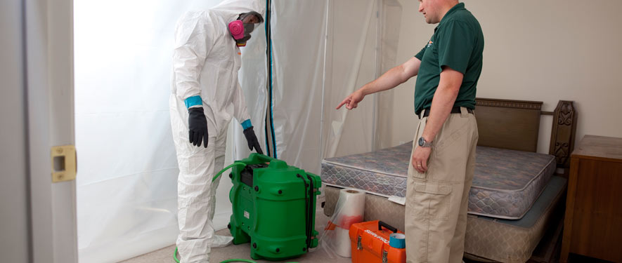 San Bernardino, CA mold removal process